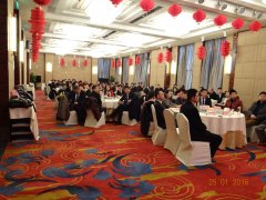2015 積蓄力量，2016 大勝歸來